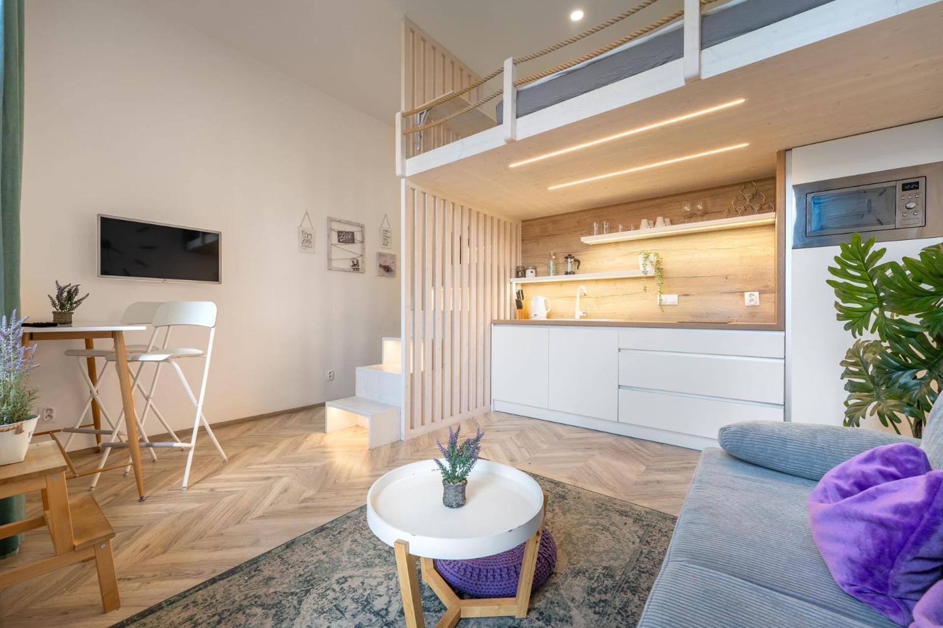 Apartment Internesto Vlhka 9 Brno