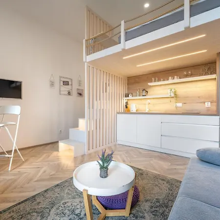 Internesto Brno Vlhka 9 Apartment Exterior photo